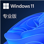 Windows 11 Proרҵ